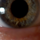 Image for article titled Shooting Challenge Freelensing Gallery 2